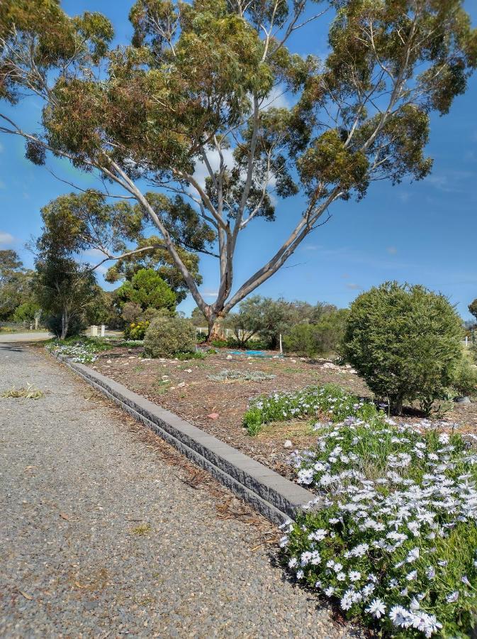 Murray Bridge Motor Inn Экстерьер фото